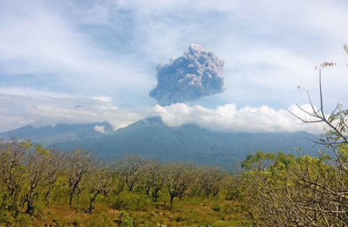 365best体育(官网)-登录入口印尼火山爆发超250名登山客下路不明多为外籍(图1)